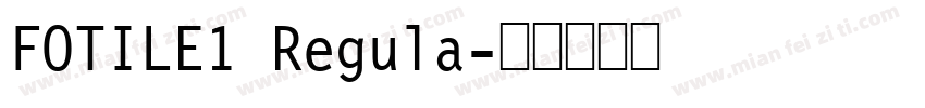 FOTILE1 Regula字体转换